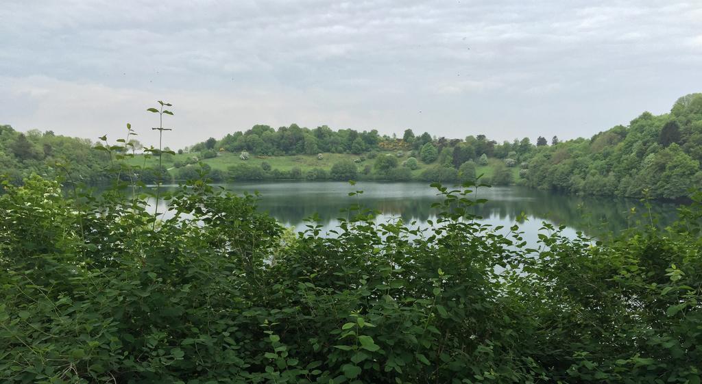 Fewo-Eifel-Mediterran Leilighet Schalkenmehren Rom bilde